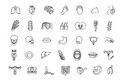 Human Internal Organs, a Healthcare Illustration by Tettygreen (Thumbnail 1 of 3)