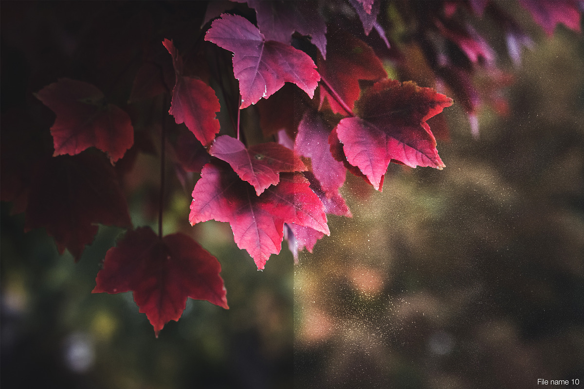 Dust and Grunge Textures, a Texture Graphic by Artemisia_Art (Photo 2 of 7)