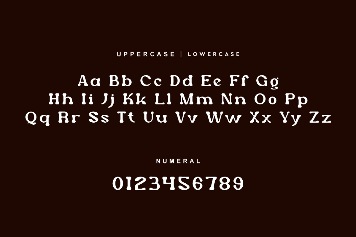 Woyder - Retro Display Font, a Slab Serif Font by QR Design Studio (Photo 6 of 12)