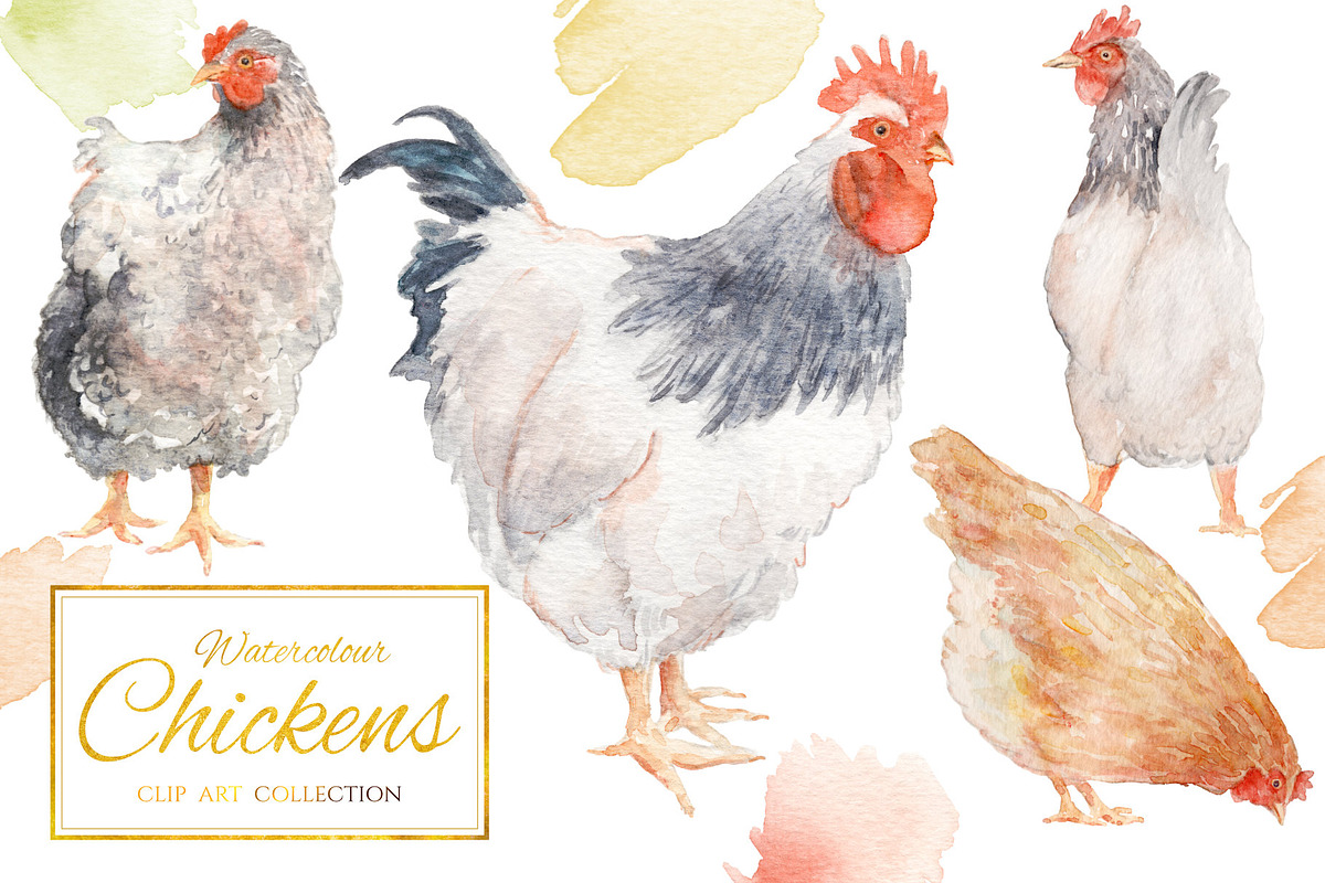 Watercolour Chickens, an Animal Illustration by Jen Digital Art (Photo 1 of 2)