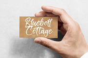 Tropical Splash Modern Handwritten, a Script Font by stylishtype.co (Thumbnail 2 of 20)