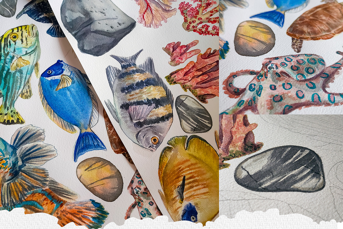 Coral Reef Watercolor Clipart, an Animal Illustration by Nastya Che (Photo 4 of 14)