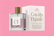 Bagvan Anstic Elegant Serif Font, a Serif Font by timelesstype.co (Thumbnail 9 of 20)