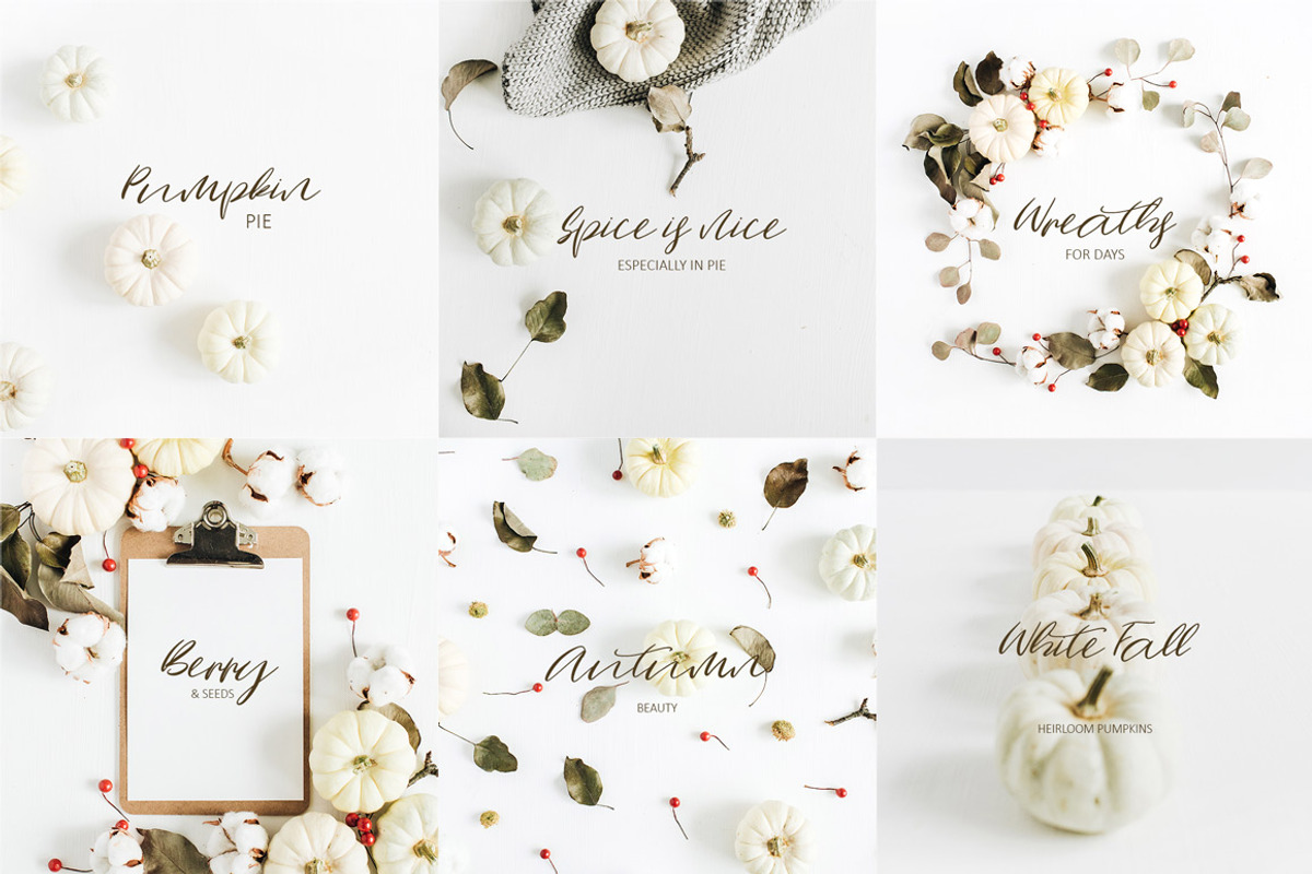 Falling Pumpkins Script Font preview 4