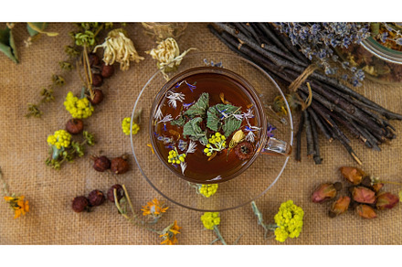 Herbal tea with medicinal herbs and, a Food & Drink Photo by yanadjana