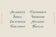Cactus Flower - Handwritten Font, a Font by Creative Type (Thumbnail 2 of 7)