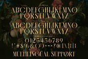 CASSEROS MASSCOTTES Elegant Serif, a Serif Font by Alfinart (Thumbnail 9 of 11)