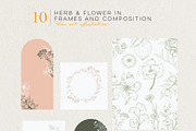 Flowers Bundle - 3 collections, an Illustration by Manimanisa (Thumbnail 15 of 16)