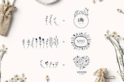 110 FLORAL ELEMENTS, an Illustration by Luna Dreams (Thumbnail 7 of 7)