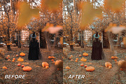 15 Cozy Fall Lightroom Presets, a Preset Add-On by TheWayfarerShoppe (Thumbnail 8 of 9)