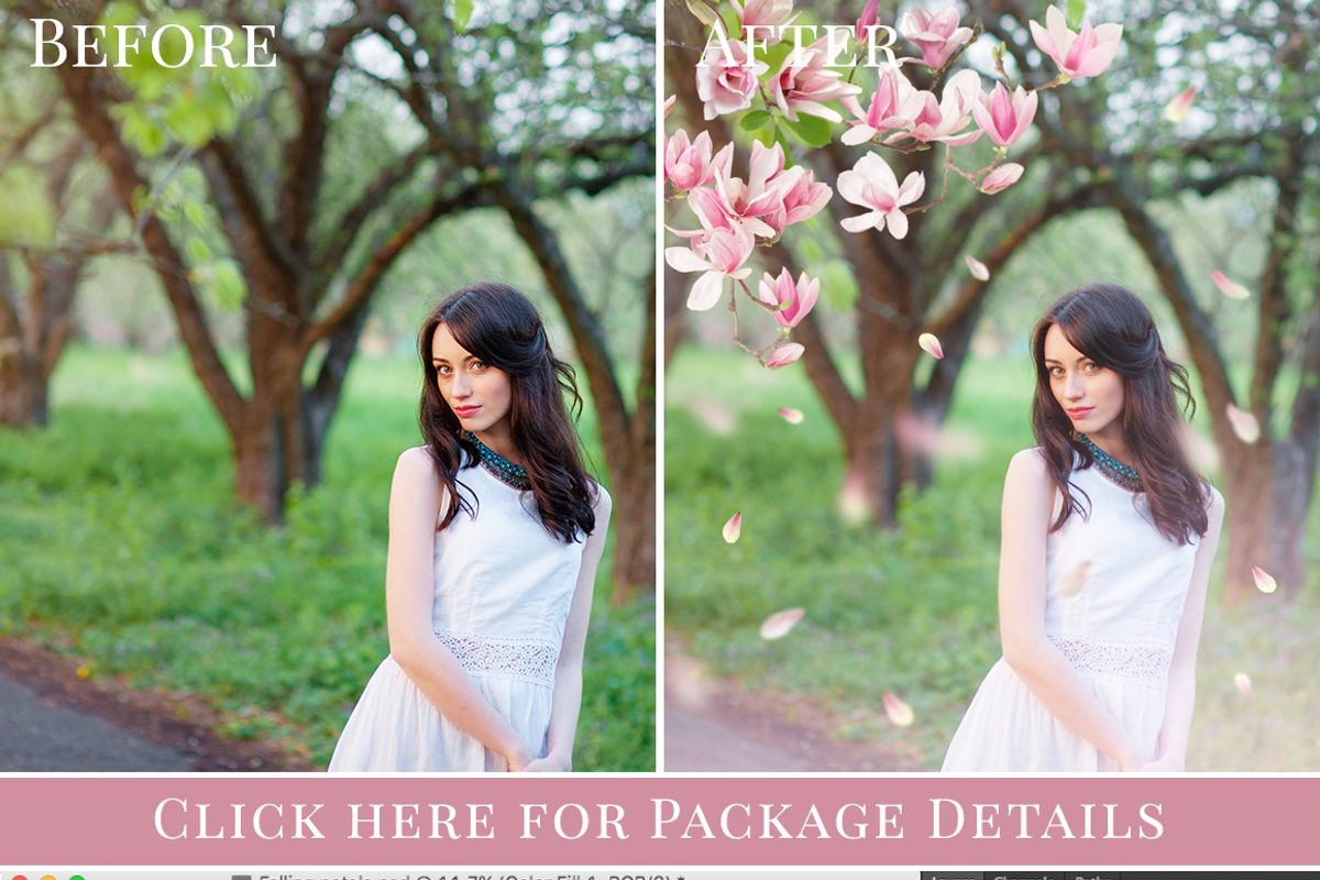 Under Magnolia photo overlays set, an Object Graphic by BrownLeopard (Photo 2 of 6)