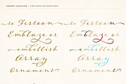Adorn Collection, a Sans Serif Font by Laura Worthington (Thumbnail 16 of 62)