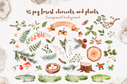 Watercolor Forest Animals set, an Animal Illustration by Alamella (Thumbnail 9 of 12)