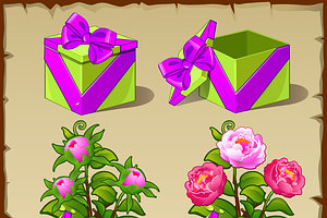 Pink Peony, Butterflies And Gift Box