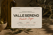 Volavira Font Collection - Font Trio, a Serif Font by Nollev (Thumbnail 2 of 14)