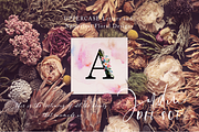 Jardin Del Sol - Watercolor Floral S, an Illustration by SmallHouseBigPony (Thumbnail 7 of 13)