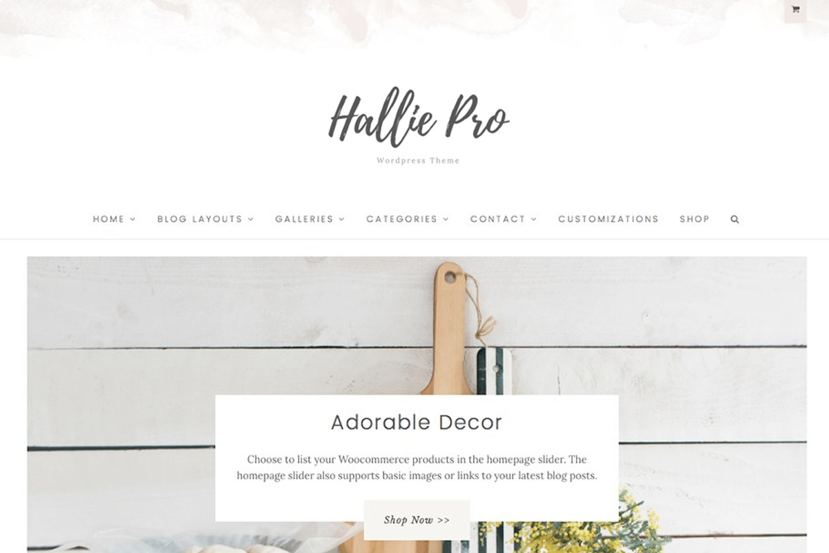 The Hallie Pro Wordpress Theme, a WordPress Template by angiemakeswebsites (Photo 1 of 6)