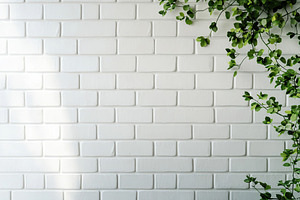 White ceramic tile wall background with green leaves, a Nature Photo by AlyaAnd