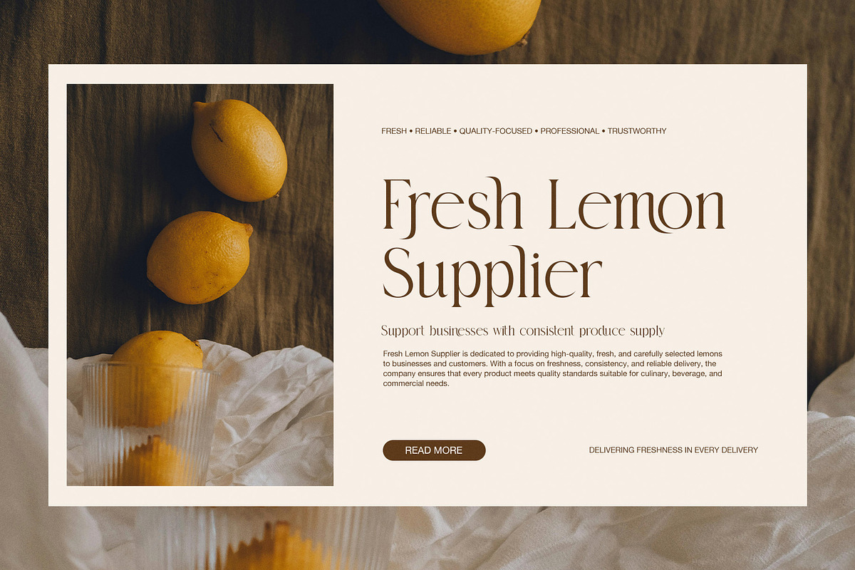 Rokina Elegant Serif Font, a Serif Font by Graphicxell (Photo 3 of 8)
