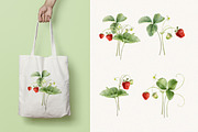 Strawberry watercolor illustrations, a Food Illustration by Fedulova Art (Thumbnail 4 of 17)