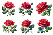 Watercolor Rose Flower Clipart, an Illustration by Dream Creation (Thumbnail 4 of 6)