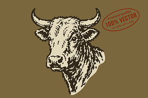 Vintage Bull Head Illustration