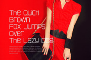 Boring's - Modern Display Sans, a Sans Serif Font by Almeera Std (Thumbnail 6 of 8)