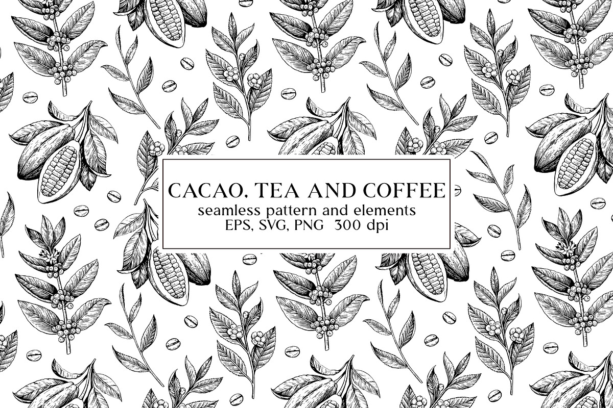 Cacao, tea and coffee illustrations, a Food Illustration by Robusta (Photo 1 of 7)