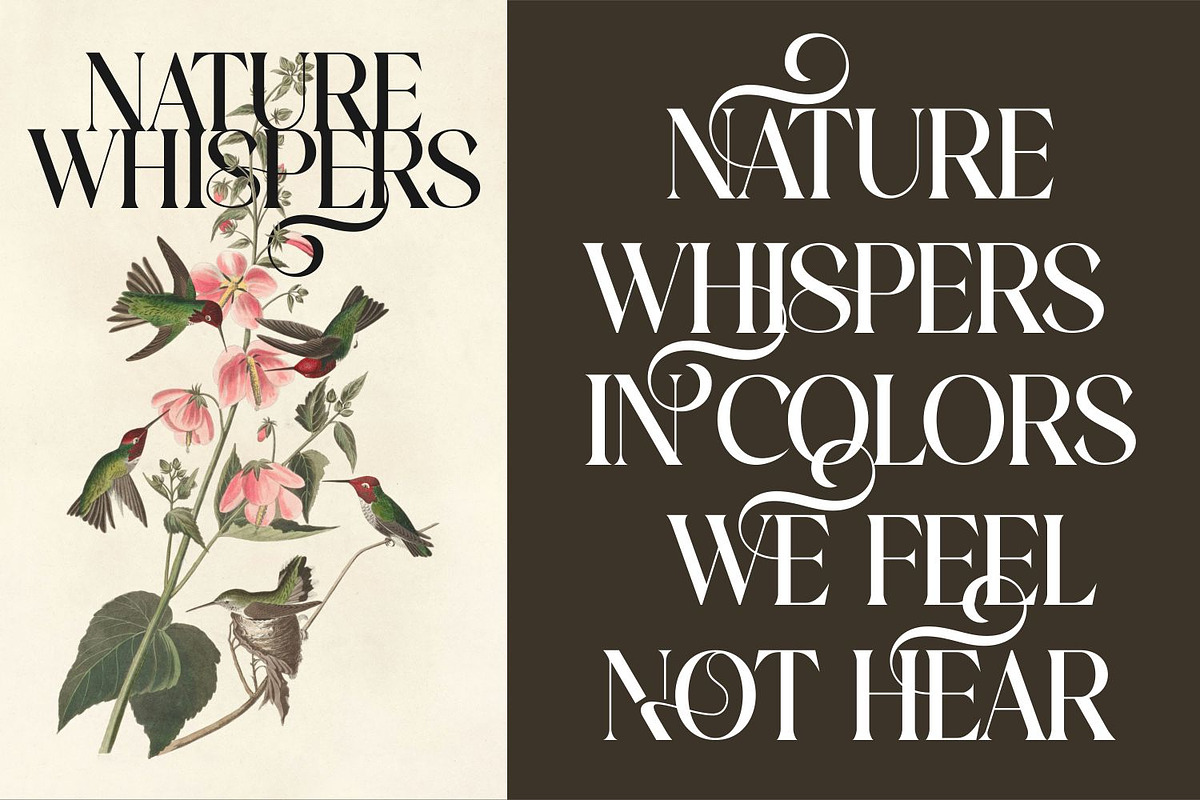 Roses Smyth Elegant Font, a Serif Font by Haps Space (Photo 2 of 15)