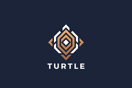 Turtle logo design.