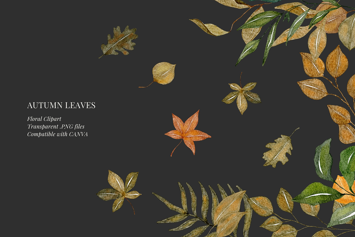 Fall watercolor illustrations, a Seasonal Illustration by AS Studio (Photo 5 of 5)