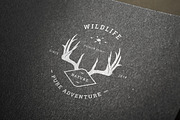 Vintage Badges vol 1, a Branding & Logo Template by blauananas (Thumbnail 8 of 9)