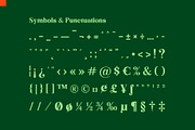 Niecher-Serif Display, a Serif Font by takoliko (Thumbnail 12 of 13)