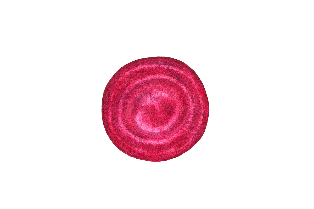 Watercolor fruit&vegetable slices, a Food Illustration by Katya Zlobina (Photo 14 of 14)