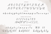 Young Spirit Handwriting Script, a Script Font by LetterJos (Thumbnail 8 of 8)