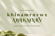 Kiava – Luxury Display Serif, a Serif Font by Salamahtype (Thumbnail 7 of 8)