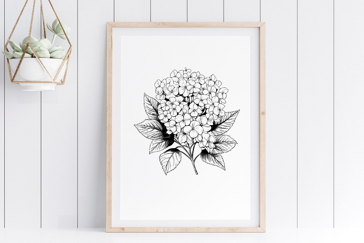 Hydrangea SVG - Flowers Clip Art, an Illustration by YouniqueArtwork (Photo 4 of 5)