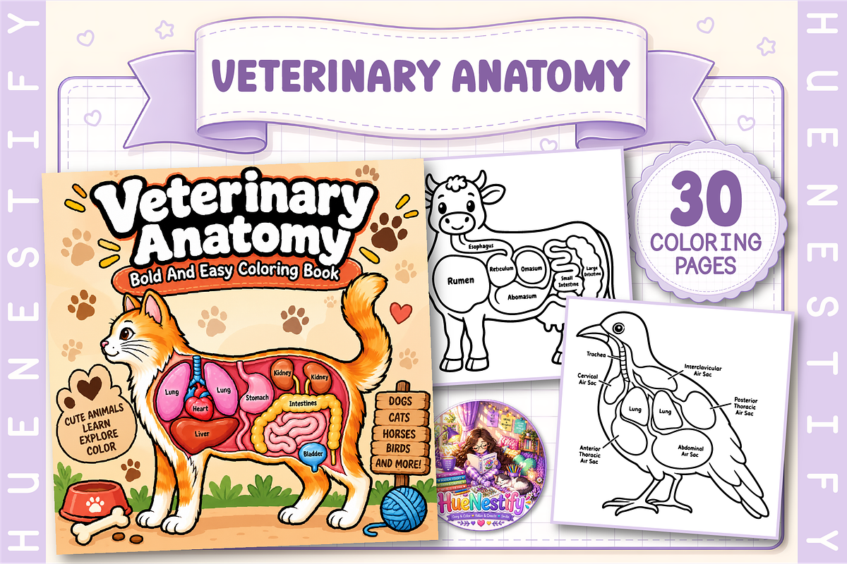 Veterinary Anatomy Coloring Book, an Education Illustration by HueNestify (Photo 1 of 4)