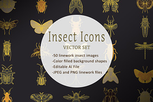 Vector Insect Icons