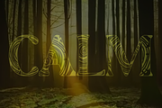 Tree Rings Font, a Sans Serif Font by OMG IT'S LINDZ (Thumbnail 3 of 6)
