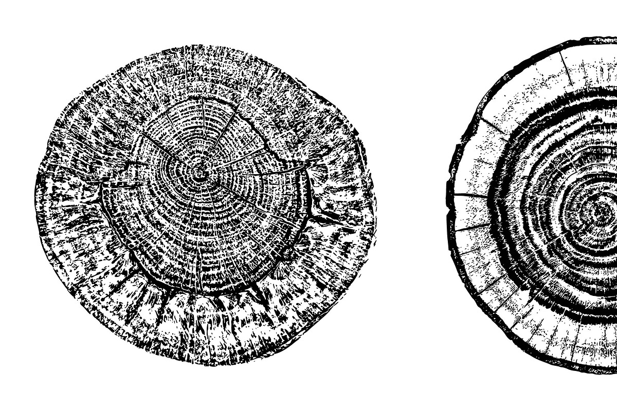 Woodlog Vector Template [iii], an Object Illustration by 103cia (Photo 2 of 3)