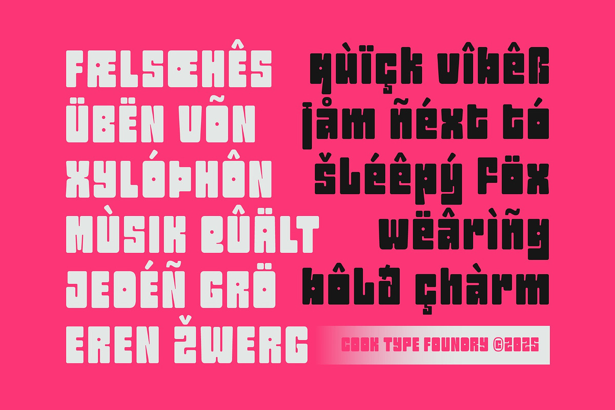 Snovyn, a Sans Serif Font by graphicook (Photo 5 of 10)