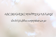 Semono Handwritten Script Font, a Script Font by Mila Visuals (Thumbnail 2 of 2)
