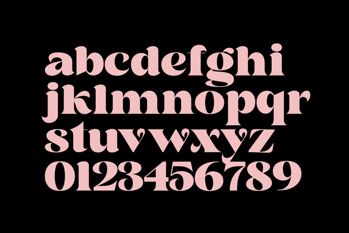 Siency Display, a Serif Font by InkwellTypeCo (Photo 3 of 11)