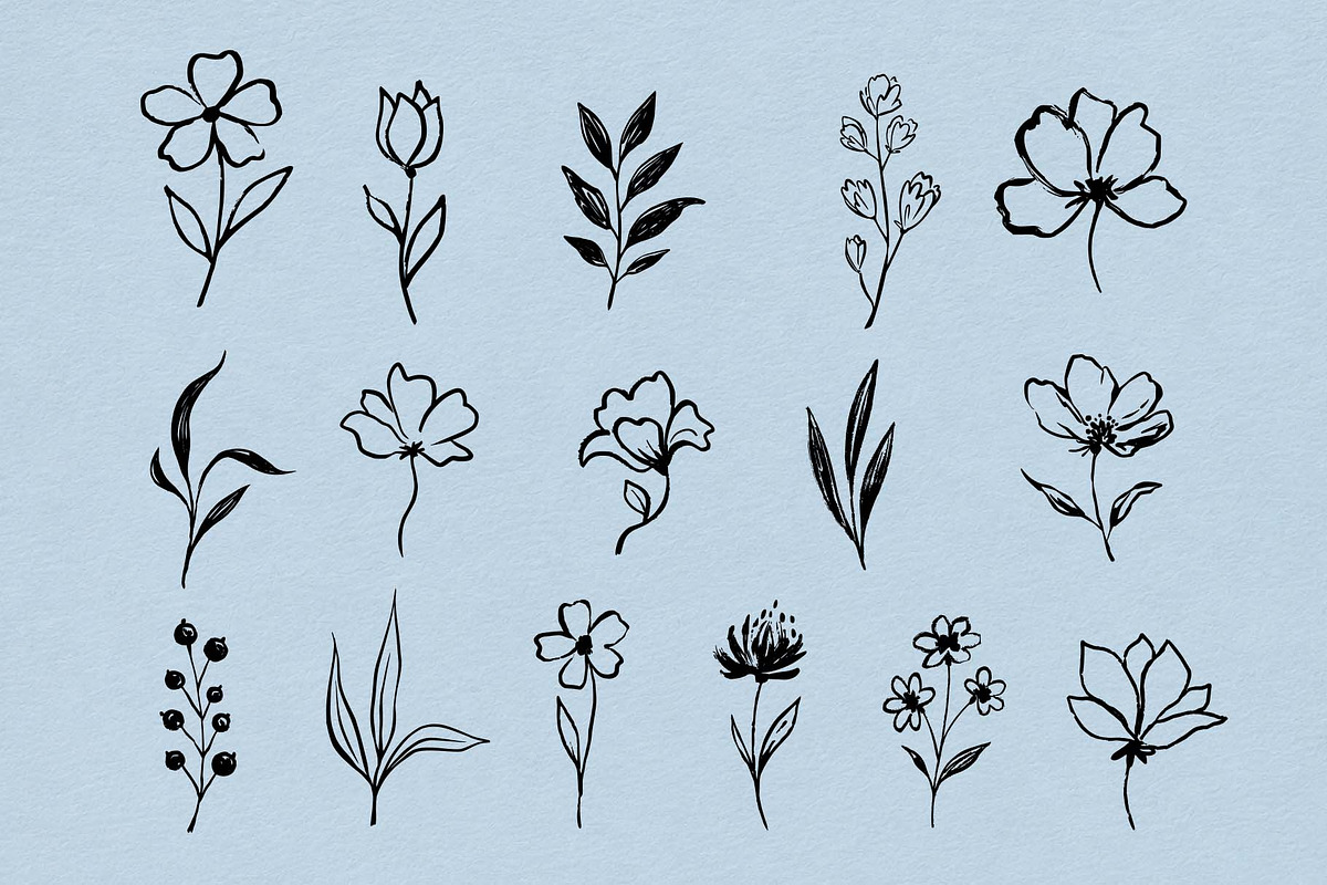 Hand Drawn Ink Botanical Elements, a Decorative Illustration by Irina Ostapenko (Photo 6 of 10)
