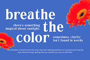 Locanara Display Serif Font, a Serif Font by Rasio Studio (Thumbnail 4 of 7)