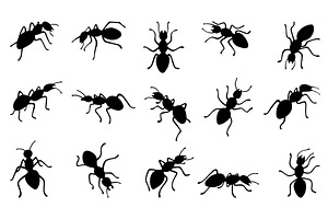 Black Ants Silhouettes. Isolated Ant