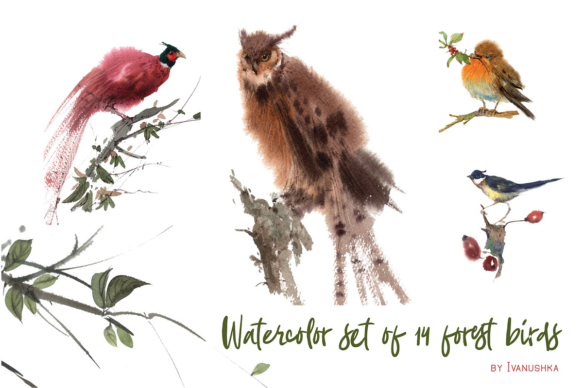 Watercolor forest birds, an Animal Illustration by ivanushka-art (Photo 1 of 5)