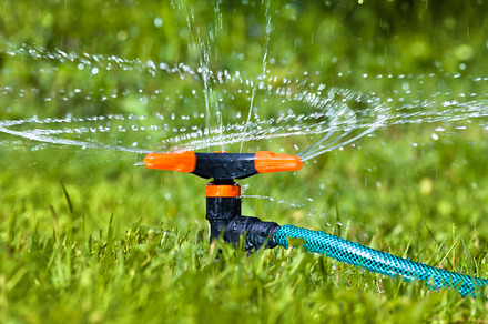 garden sprinkler, a Nature Photo by rodimov