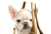 Puppies Dog Breeds Big Bundle 135Pcs, an Animal Illustration by Dneprstock (Thumbnail 16 of 68)